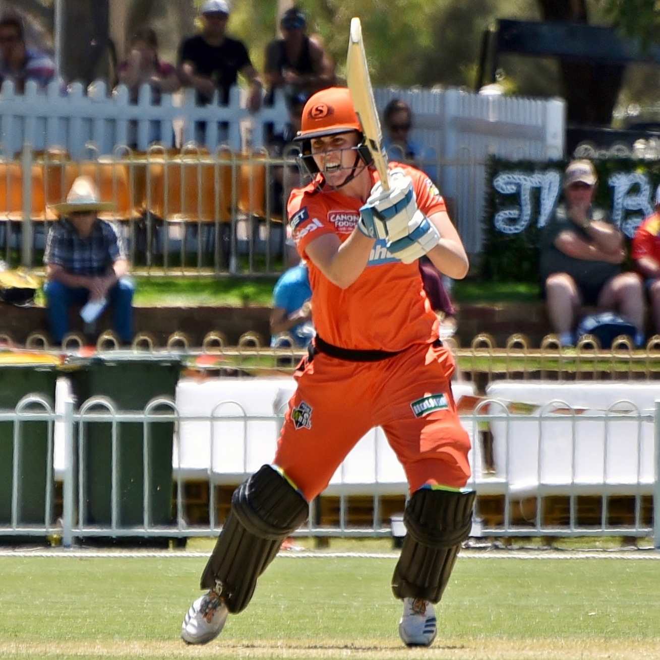 2019–20_WBBL_PS_v_SS_19-11-23_Sciver_(05)_compressed