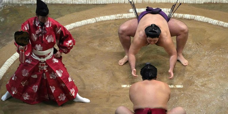 Sumo_compressed