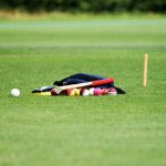 cricket-5428976_1280