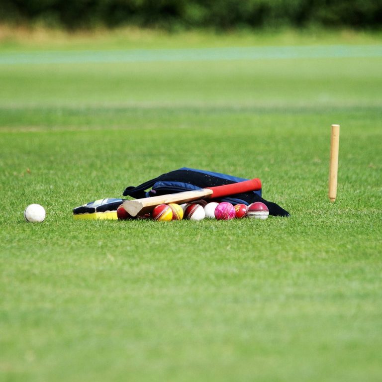 cricket-5428976_1280