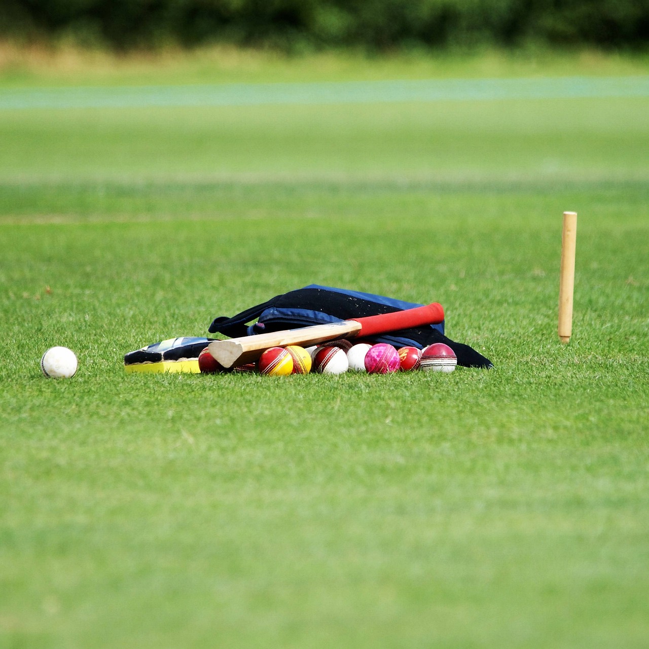 cricket-5428976_1280