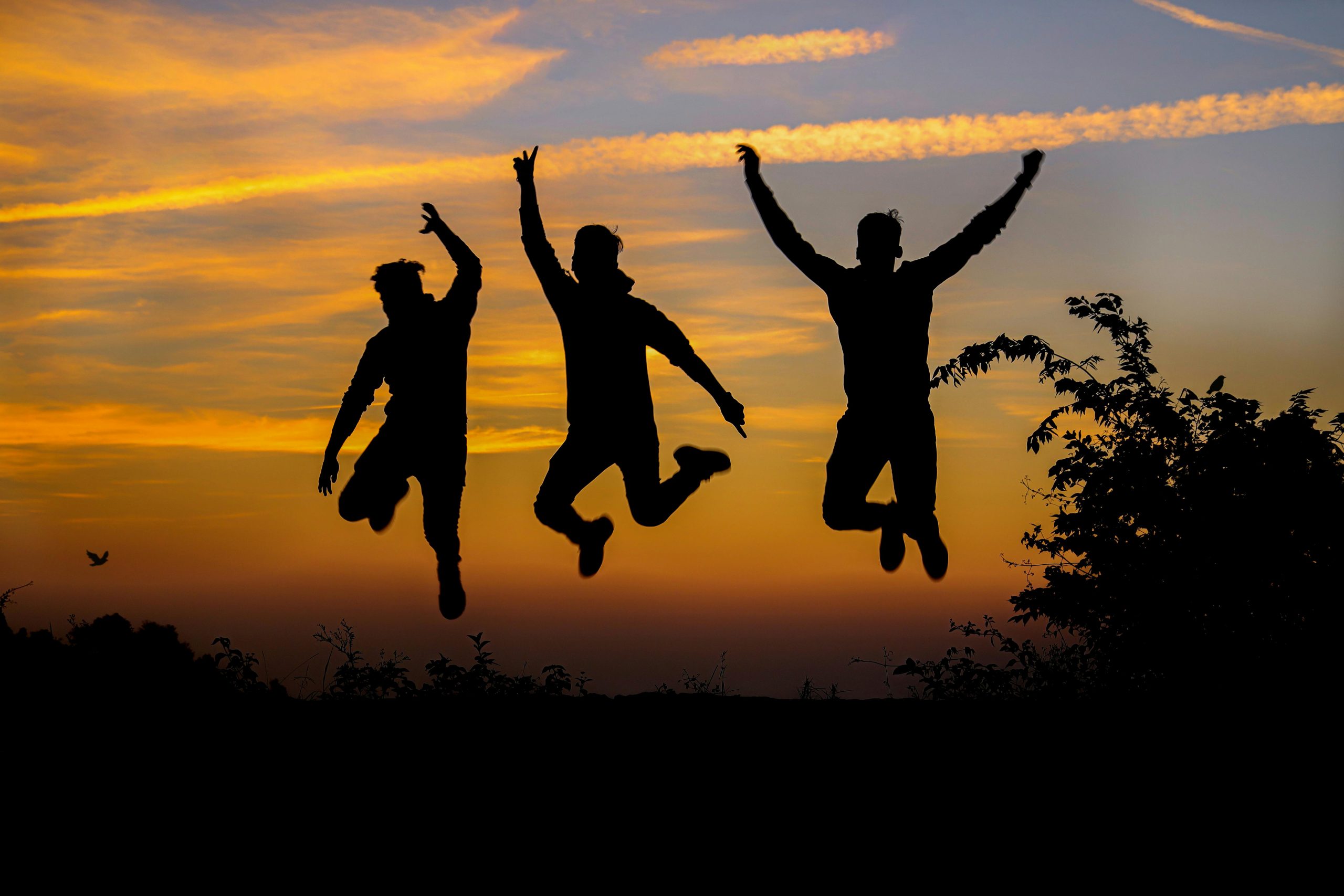 pexels-thirugraphy-11-497075690-16731353