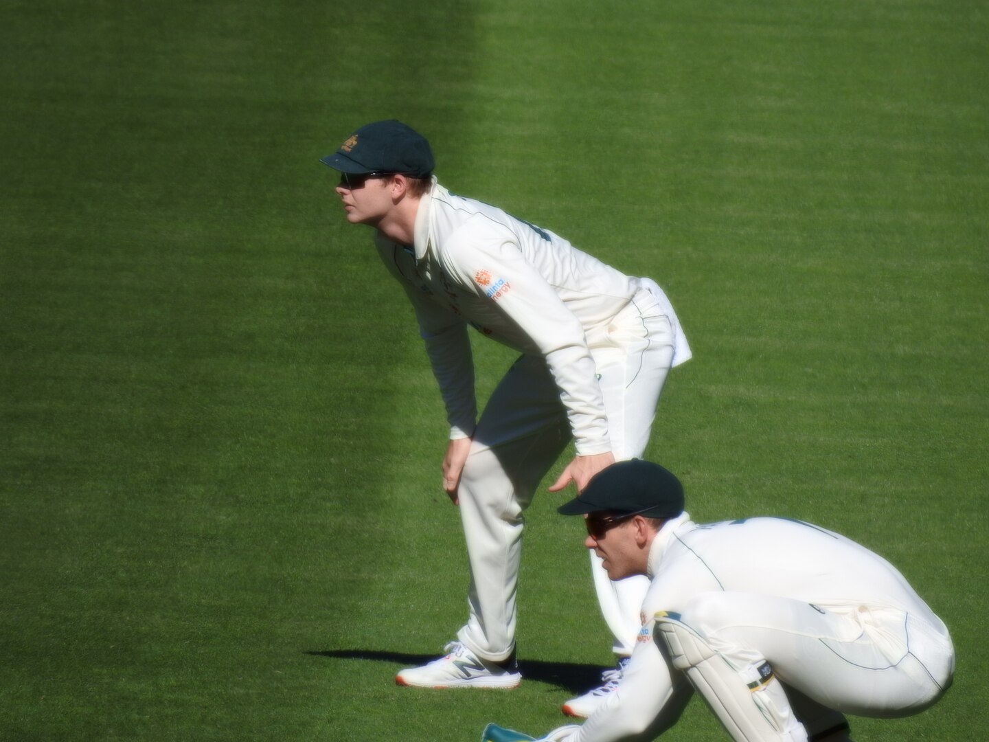 1440px-Steve_Smith_and_Tim_Paine_fielding_2nd_Test_Aus_vs_Ind_2020