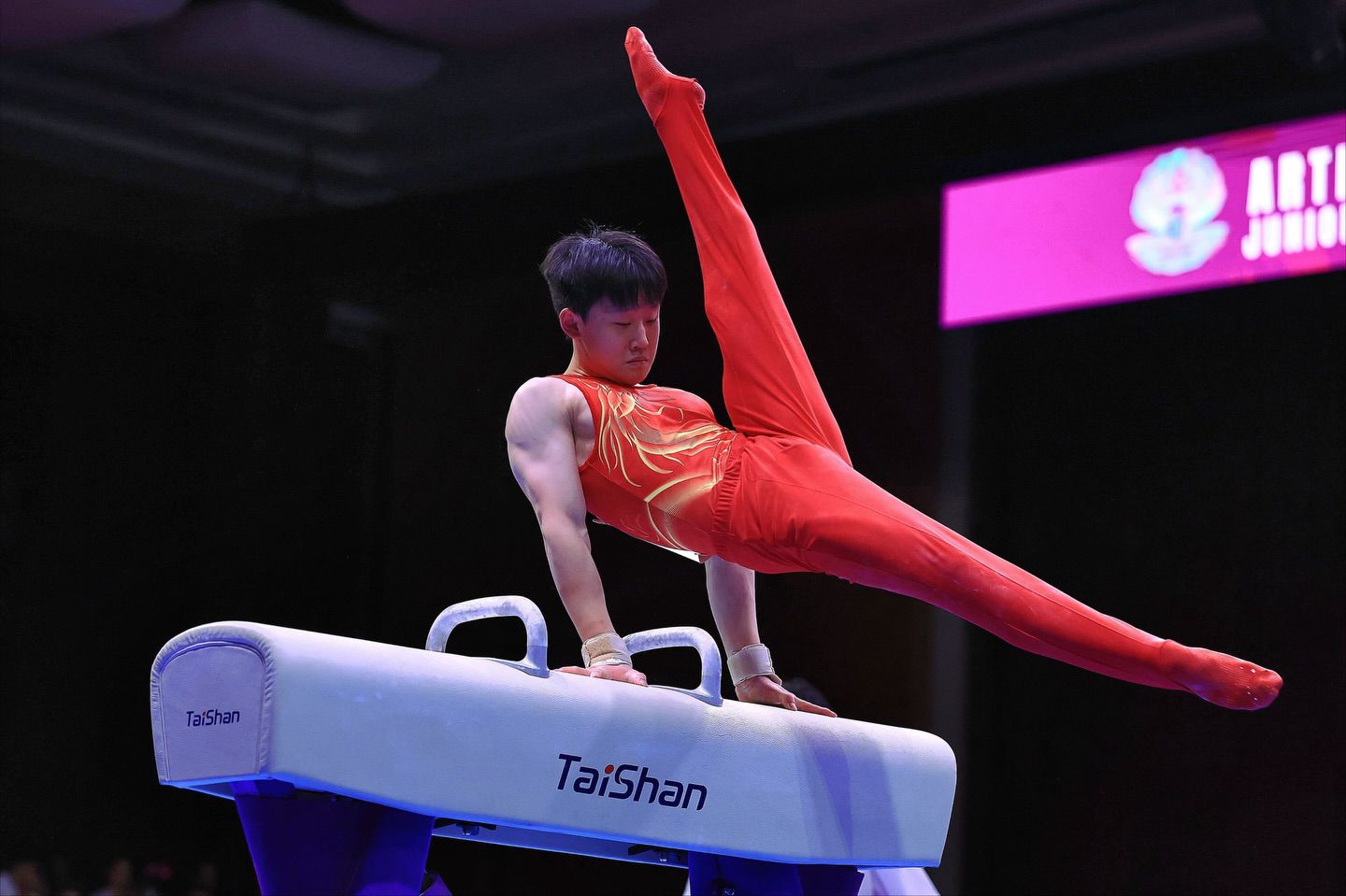 Zheng Ao Ricardo Bufolin FIG_compressed
