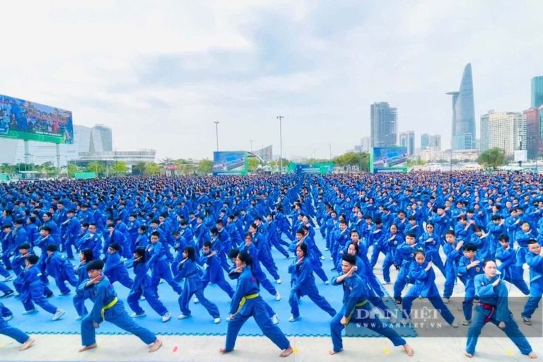 vovinam