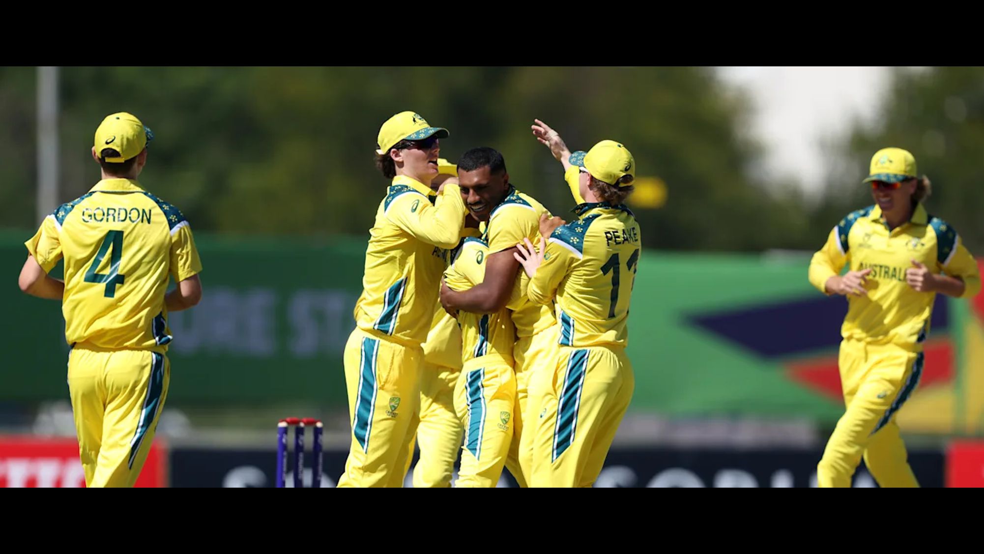 Australia cricket_compressed