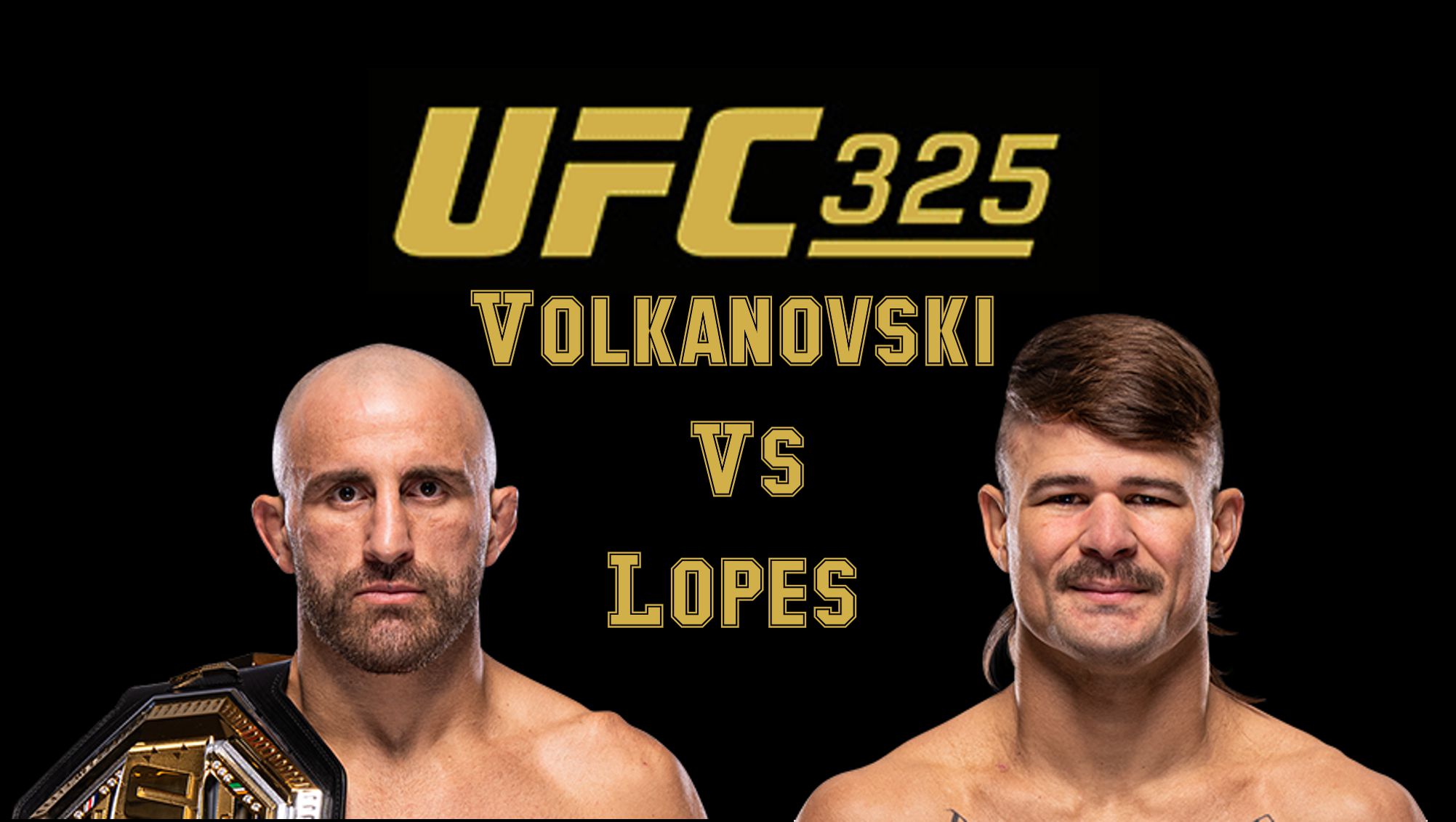 UFC 325