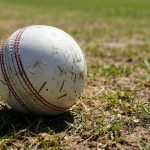 pexels-risingstudio07-35392636