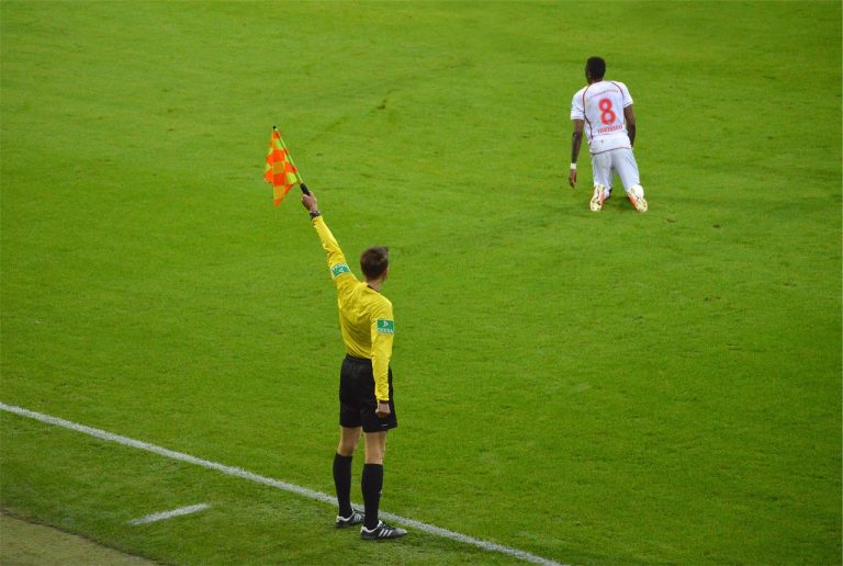 stocksnap-soccer-2624763_1280