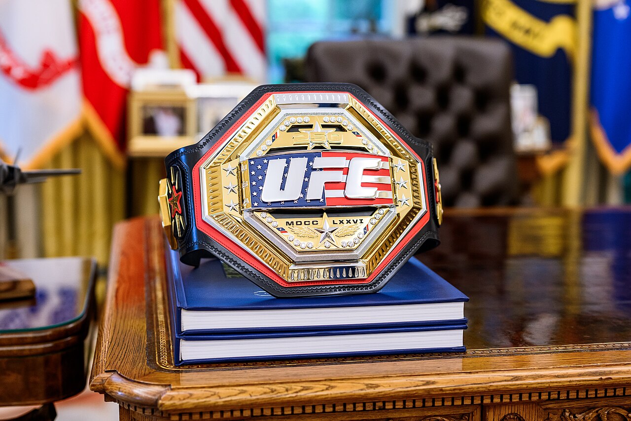 UFC Freedom 250