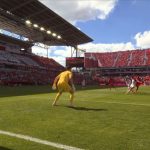 Canada vs Bosnia football #