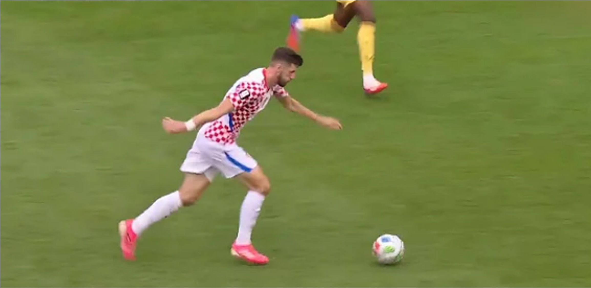 Petar Sucic #