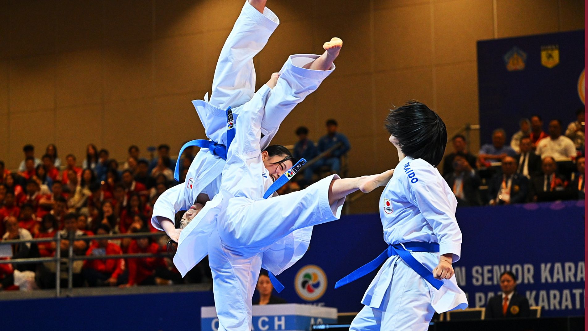 taekwondo asian championships #