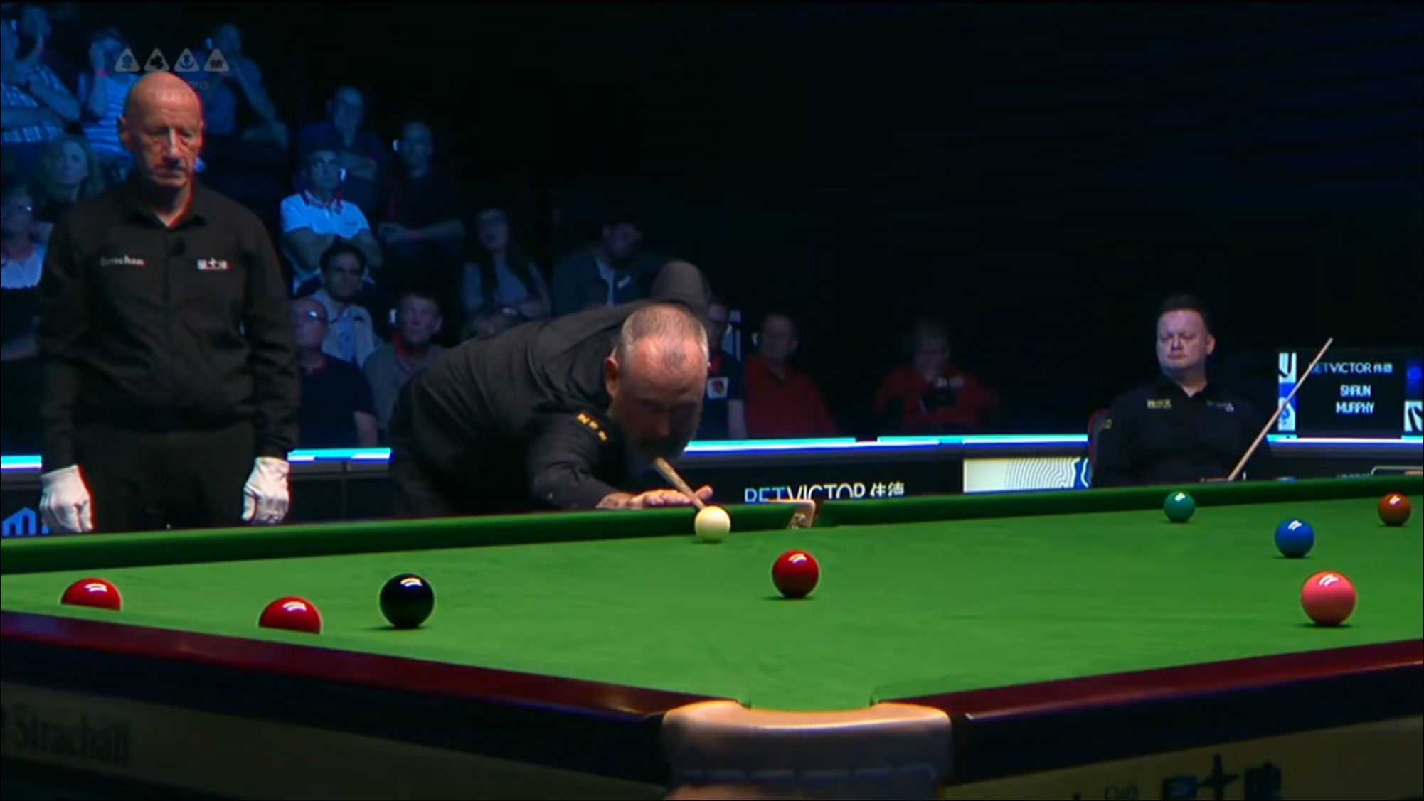 Mark Williams @