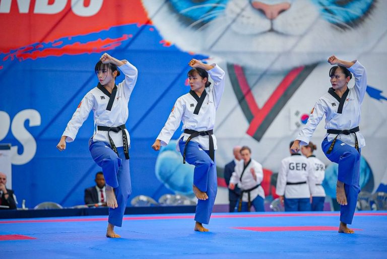 taekwondo @